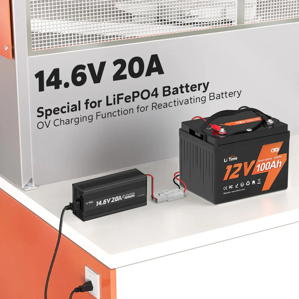 [Gebraucht-Like New] LiTime 14.6V 20A Lithium Batterieladegerät für 12V LiFePO4 Lithium Batterie - Image 4