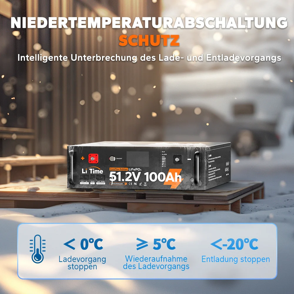 LiTime LiFePO4 51,2V 100Ah Solarbatterie Smart ComFlex 3U rack mit BMS - Image 8