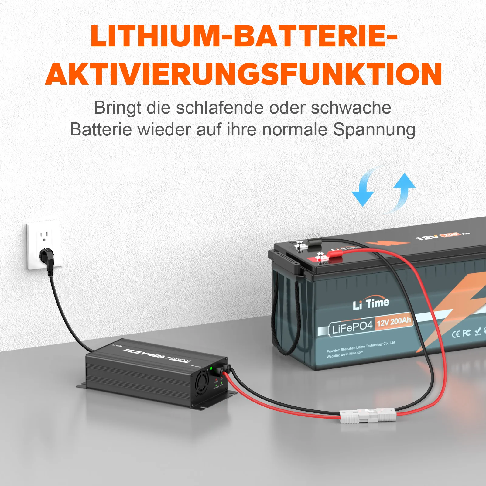 [Gebraucht-Like New] LiTime 14,6V 40A Montierbares Lithium-Batterieladegerät - Image 7