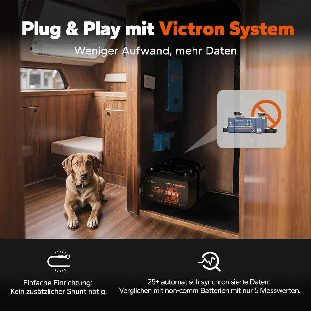 LiTime 12V 100Ah Smart ComFlex Batterie mit Bluetooth & Victron-Kommunikation - Image 5